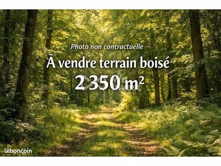 terrain 2350 m² luzy-saint-martin