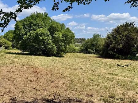 vente terrain 1300 m² à trélissac (24750)  60 000 €