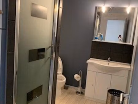 appartement centre ville mayenne quartier saint martin