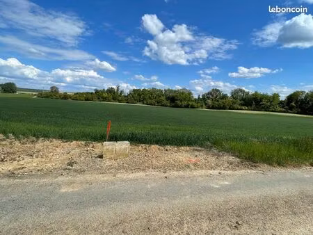 terrain plat 800 m2 vue sur la nature
