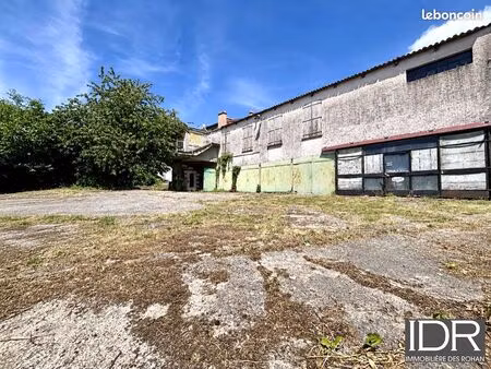 immeuble 750 m² sarrebourg
