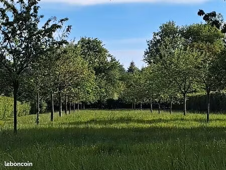 terrain constructible