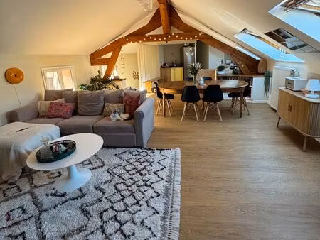 secteur fauriel - grande terrasse  appartement coup de coeur lumineux