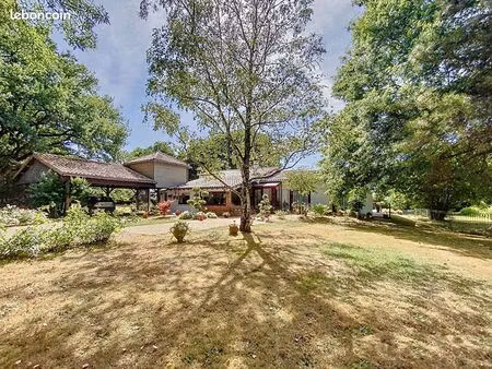 a vendre propriété sur vezins 49 en campagne