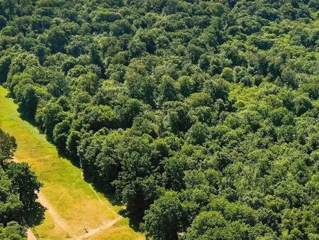 terrain 35556 m² prouilly