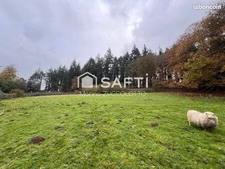 terrain 12583 m² meneac