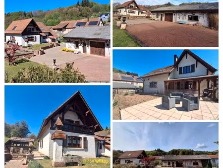maison + hangar + terrain