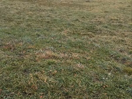 terrain à bâtir
