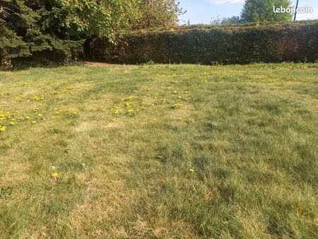 terrain 601m2