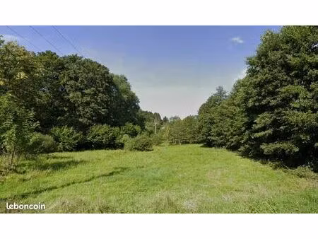 terrain 4 039 m² saulxures