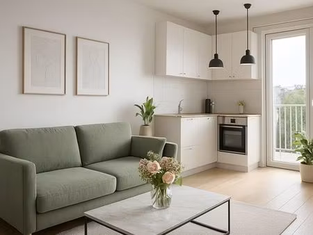studio 1 pièce 28 m²