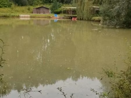 étang a vendre