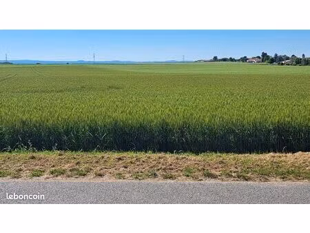 terrain - 1 072m2 - joze