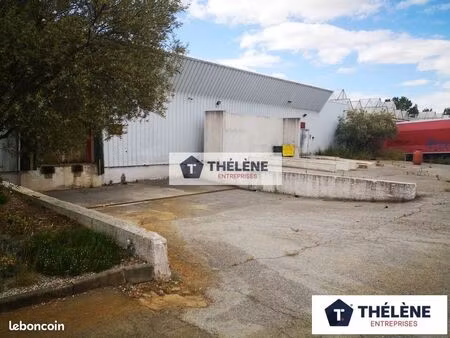 local d'activite 1740 m² le cres