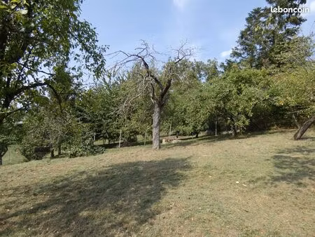 terrain constructible