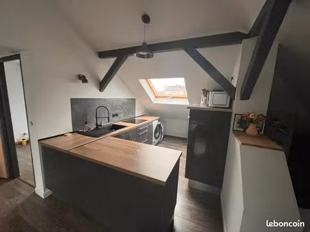 appartement 2 pièces meublé 36 m2 carrez (65m2 au sol)