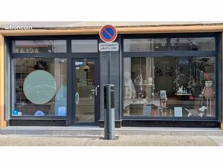 salon de toilettage / fond de commerce