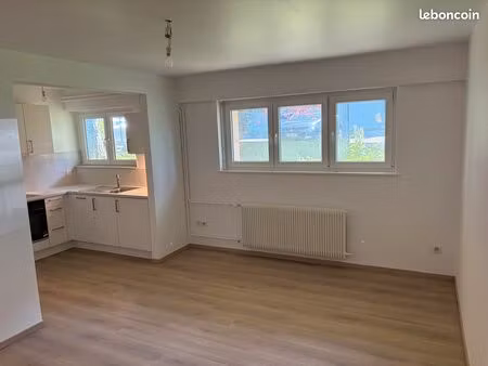 t1 rénové – 28 m² – village-neuf centre – idéal frontalier