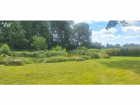 terrain 6950 m² torce en vallee