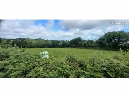 terrain nu non constructible