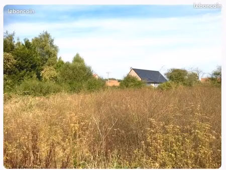 à saisir grand terrain constructible et bâtiment merville