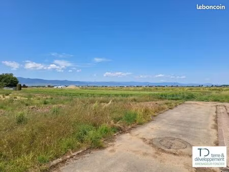 terrain 286 m² niederhergheim