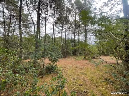 terrain 1 200 m² lacanau