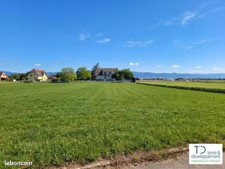 terrain 349 m² niederhergheim
