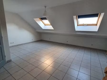 appartement en duplex - yenne