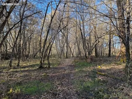 terrain 18 500 m² cercy la tour