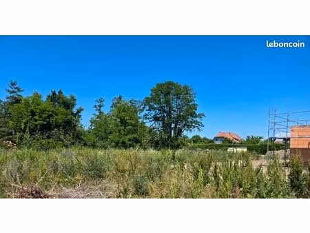 terrain 497 m² algolsheim