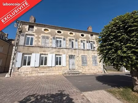 immeuble 236 m² neuvy sur loire