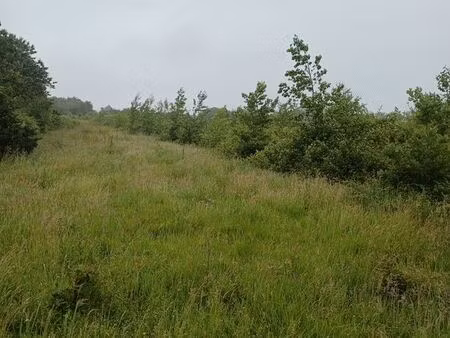 terrain de chasse