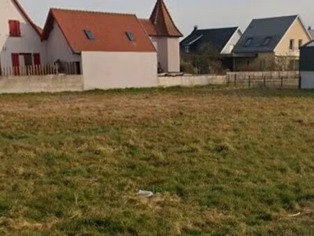 beau terrain