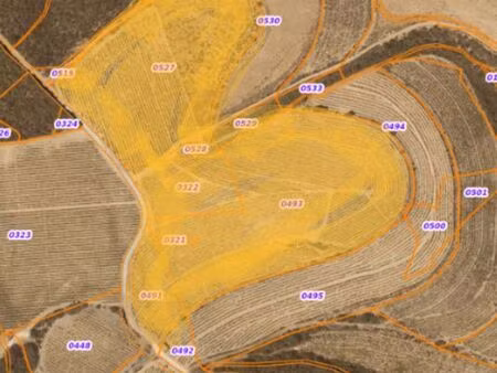 terrains en friche