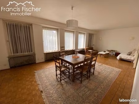 meinau proximité neudorf dans impasse calme: maison 288 m2 sur 3 niveaux avec jardin