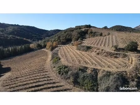 location de terrains pour développeurs de projets photovoltaïque et agrivoltaïque