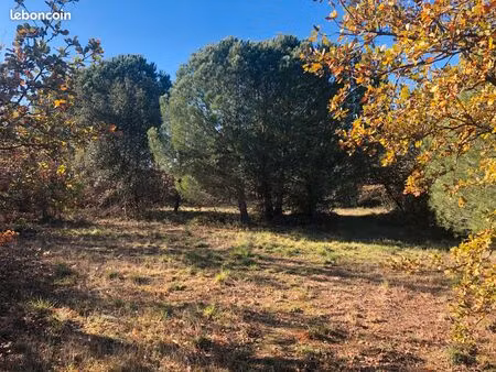 terrain agricole - 4 hectares constructible pour agriculteur