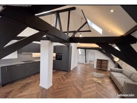 loft t3 meublé 85m2 hyper centre