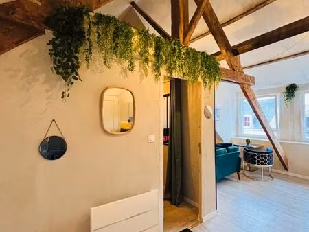 appartement meublé 45 m2 rénové en 2025 - proche bus et commerce