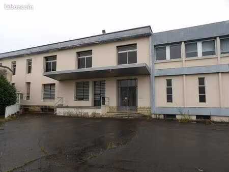 local commercial 7500 m² saint-vallier