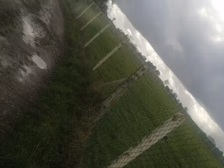 terrain 2400 m²