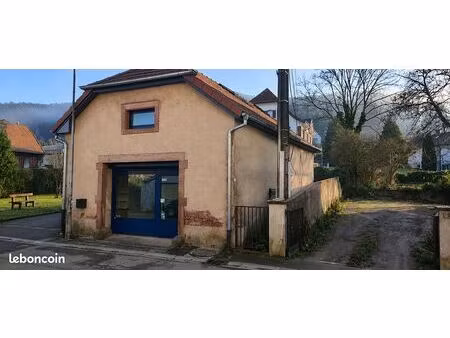 local professionnel à louer – rothau