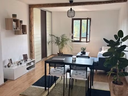 superbe t2 de 50m² entièrement rénové