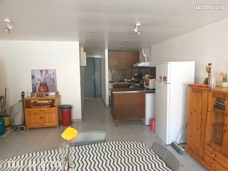 appartement 45 m2+ cours exter