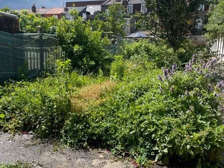 jardin potager avec garage et place de parking