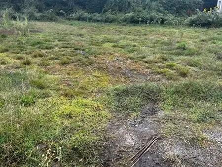 terrain 514 m² le bouscat