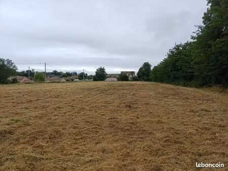terrain constructible
