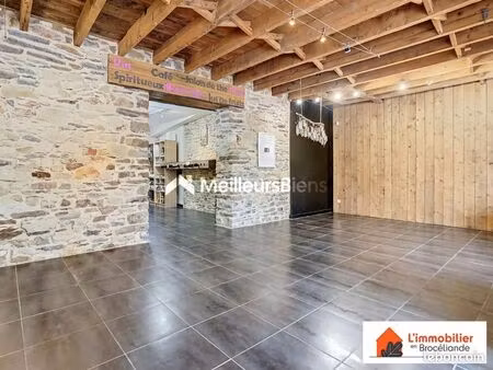 immeuble 13 pièces 315 m²