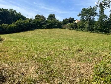 terrain constructible